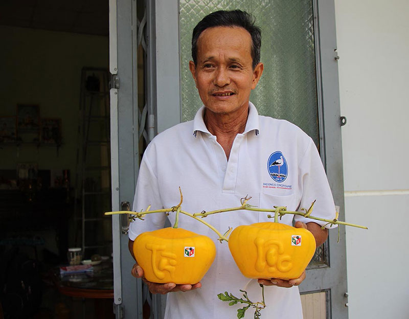 Dưa hấu thỏi vàng 3,5 triệu/cặp: Vào tận ruộng tranh mua